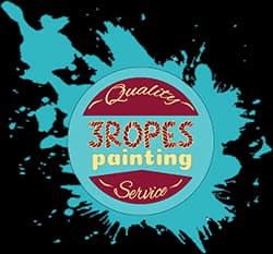3 Ropes Painting - St. George logo