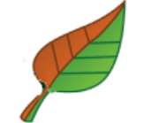 Gold's Landscaping logo