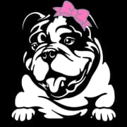 Big Bully Turf logo