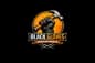 Black Gloves Handyman LLC logo