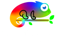 Chameleon Permanent Lighting logo
