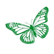 Chem-Free Organic Pest & Lawn Services logo