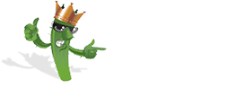 Desert King Windows logo
