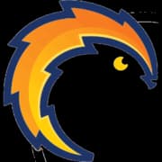 Hedgehog Electric & Solar logo