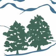 High Mountain Tree Care logo