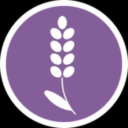 Lavender Lush House Cleaning logo