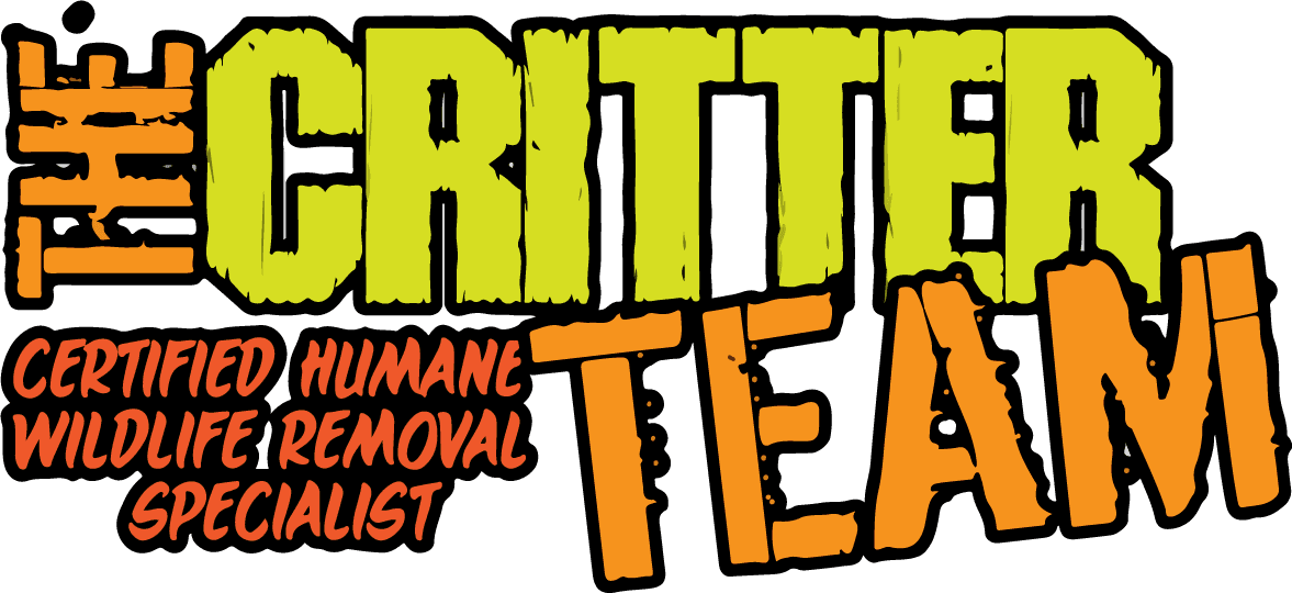 The Critter Team (281) 667-0171 logo