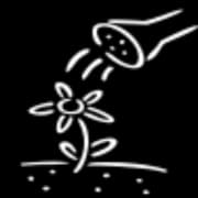 Martin & Quin Landscape Design logo