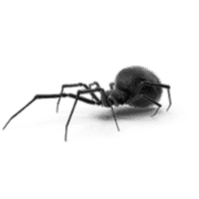 Preventive Pest Control logo
