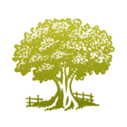 TreeMendus Arbor Care logo